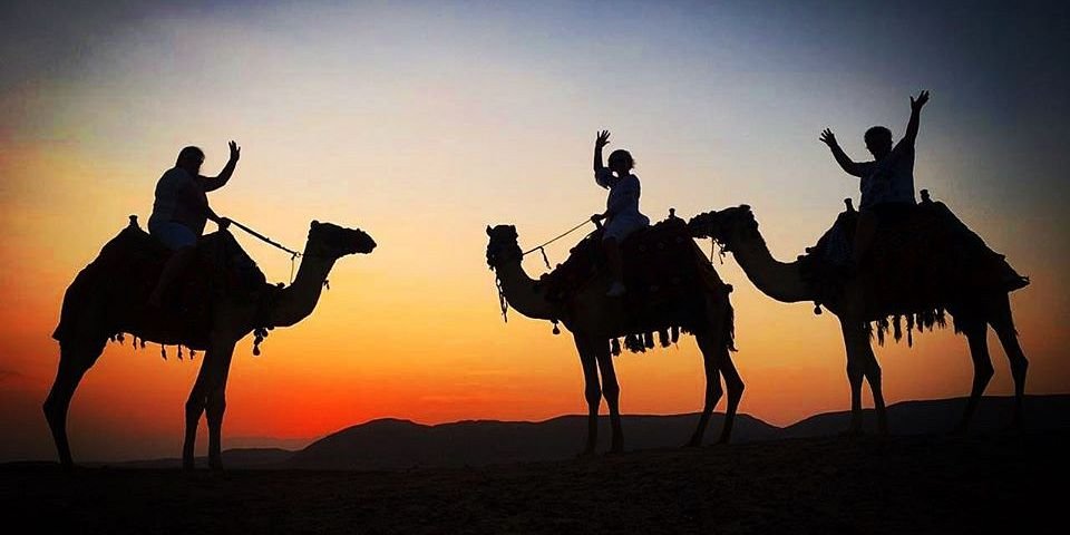 1h Camel ride Trip in Hurghada